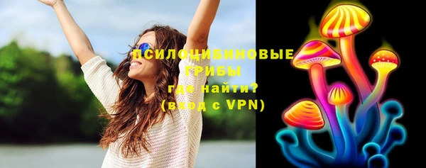 сатива Алзамай
