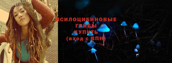 соль ск Алексин