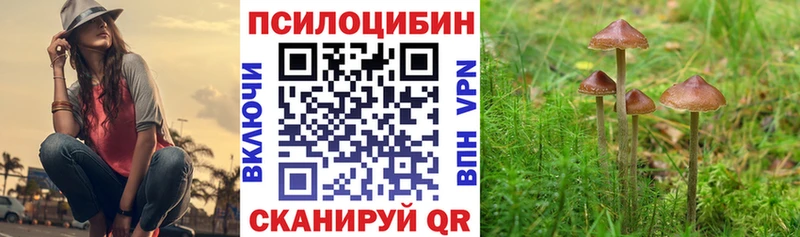 Псилоцибиновые грибы Psilocybe  Липки 